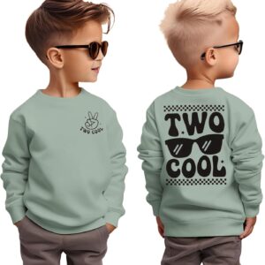 BOUTIKOME 2. Fødselsdag drenge sweatshirt to COOL sweater til småbørn anden fødselsdag tøj efterår vinter langærmet skjorte børn meddelelse outfit søskende babytøj